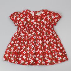 D32746: Baby Girls Smocked, Lined Dress  (1-2 Years)